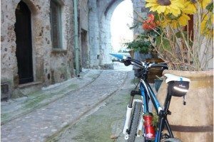 Auribeau-sur-Siagne mountain biking