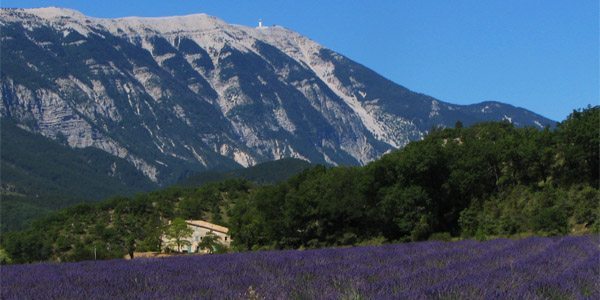 Mont Ventoux, Vaucluse, Provence