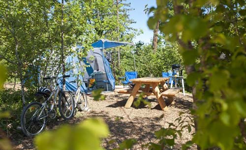 Campsites near surf spots in France