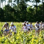 Mountain Biking through the Blaye Côtes de Bordeaux Vineyard