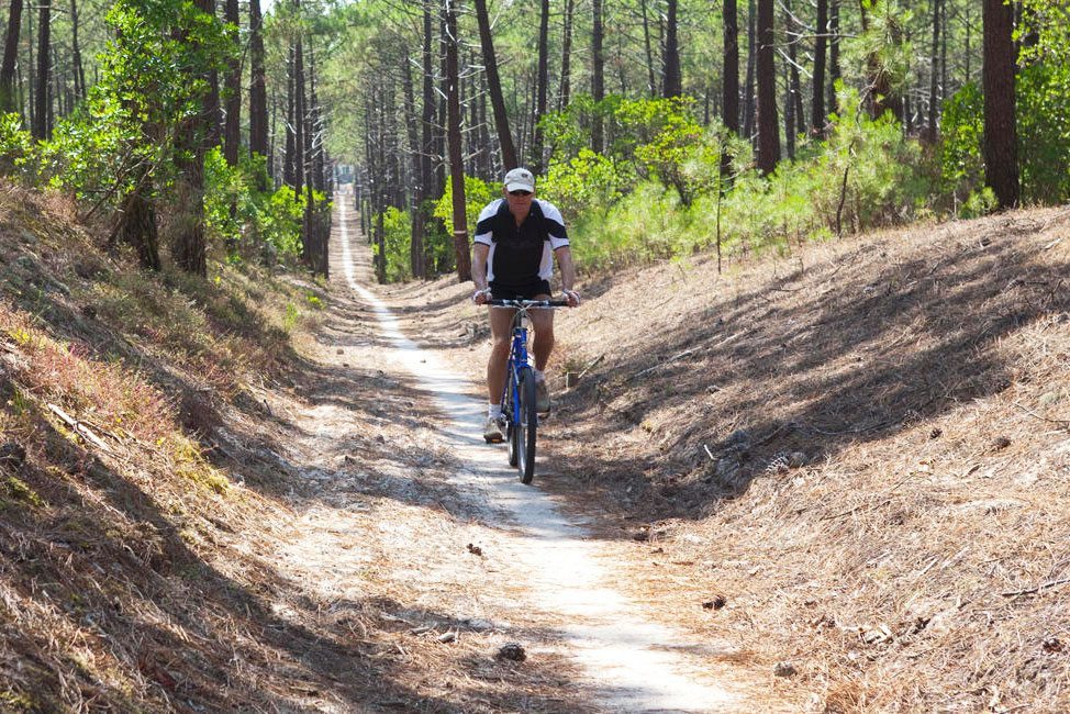 Cycling through the forest in Lacanau