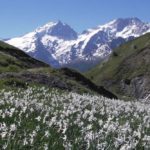 Tour des Ecrins with French Alps Trekking