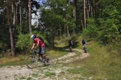 Mountain biking around Tartonne in Verdon