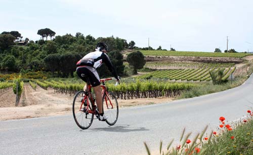 Road Cycling in Provence with France Bike Trips
