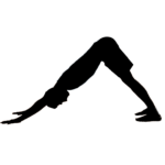 Yoga for skiing - Downward Facing Dog (Adho Mukha Svanasana)