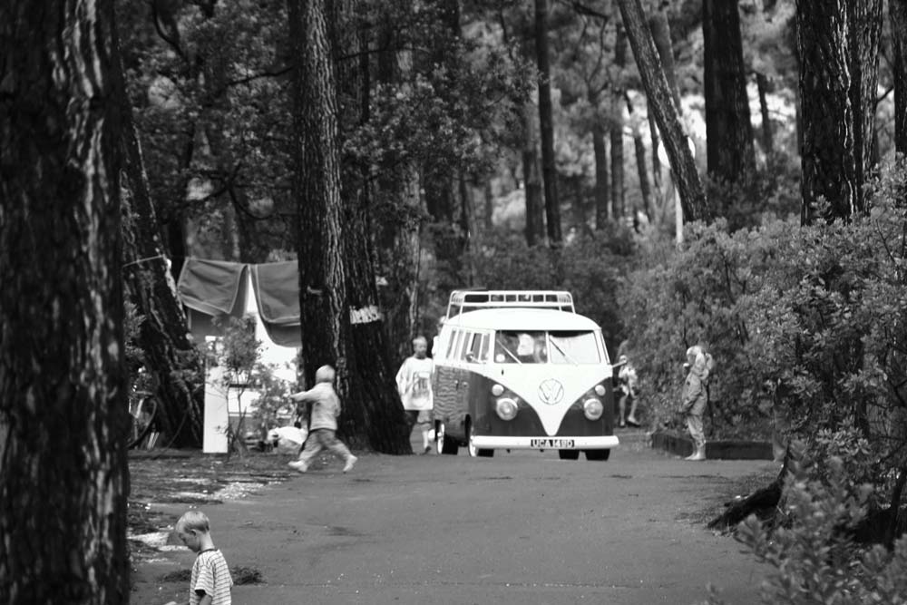 All surfers need a van, pine forest, Lacanau