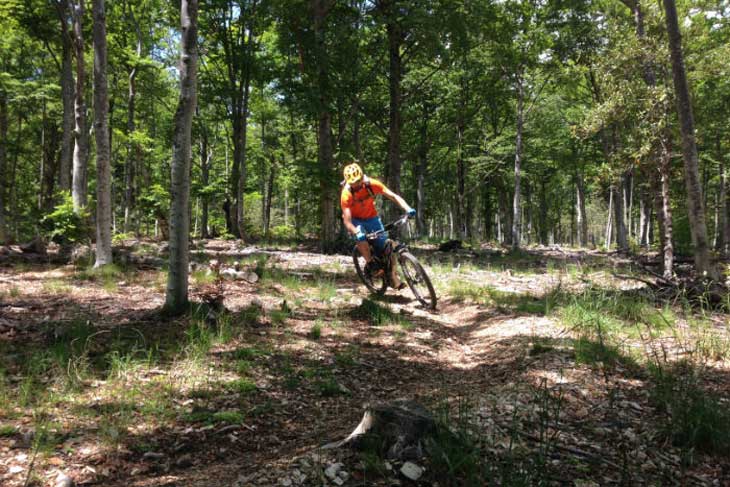 Montagne de Lure enduro riding