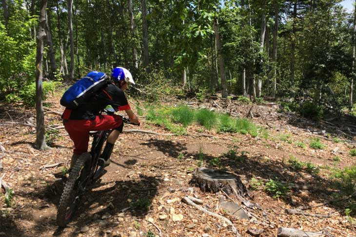 Switchbacks on the Montagne de Lure enduro trail