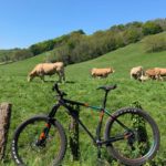 Mountain Biking in Espelette in the French Basque Country