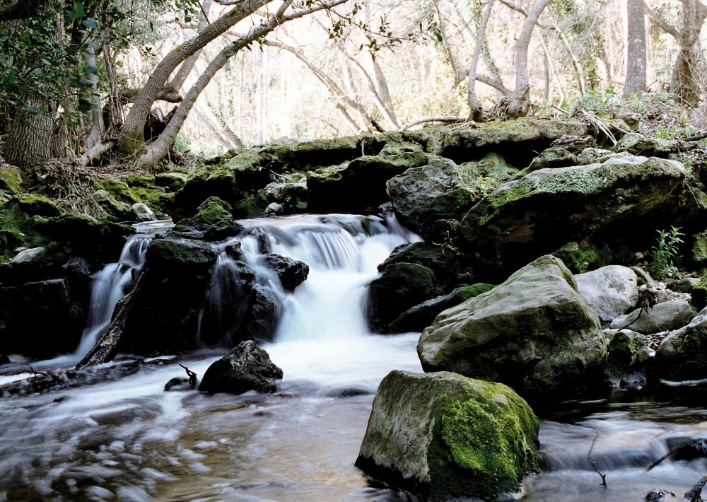 La Brague river on the Sentier de la Brague