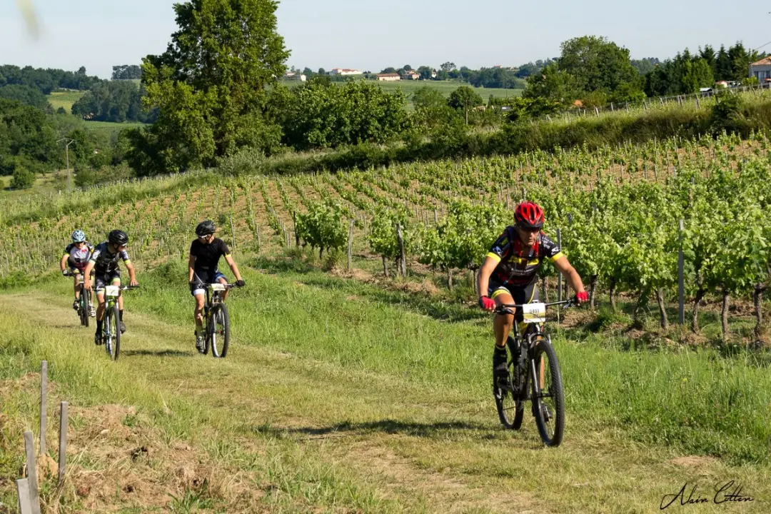 Mountain biking through a vineyard in Bordeaux
