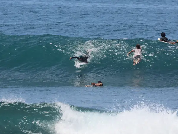 Surfers in the line-up Surfers in the line-up paddling for a wave