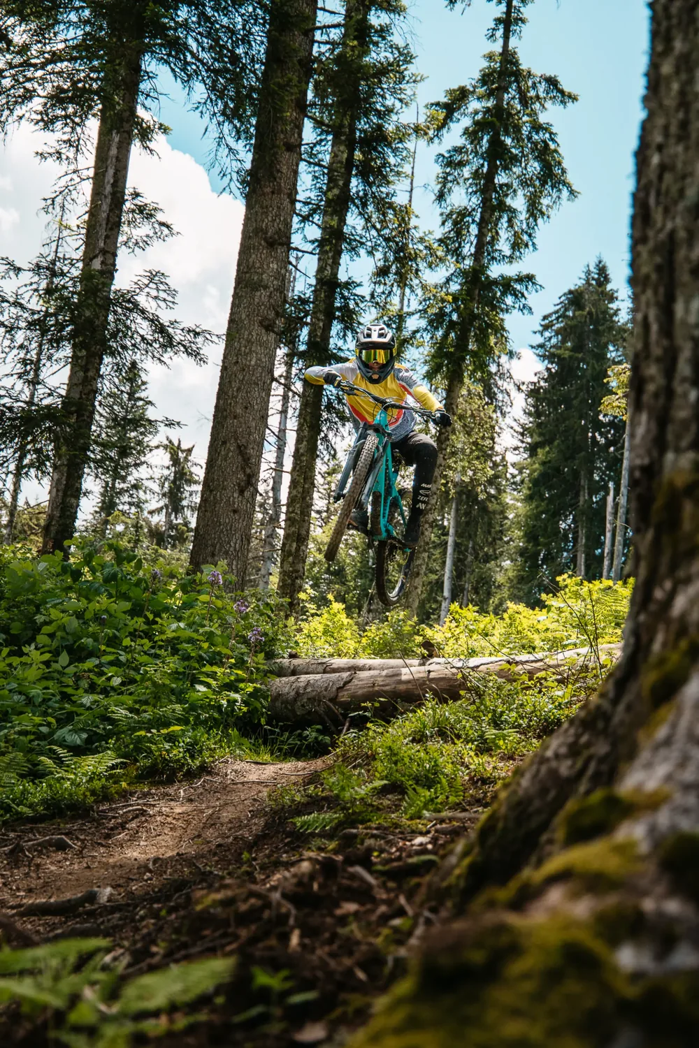 Mountain biking in Les Gets