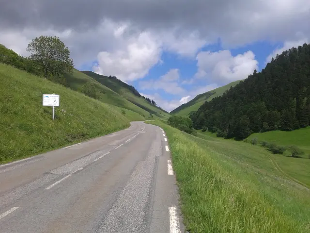 Road winding through the open pastures of the Col de Peyresourde