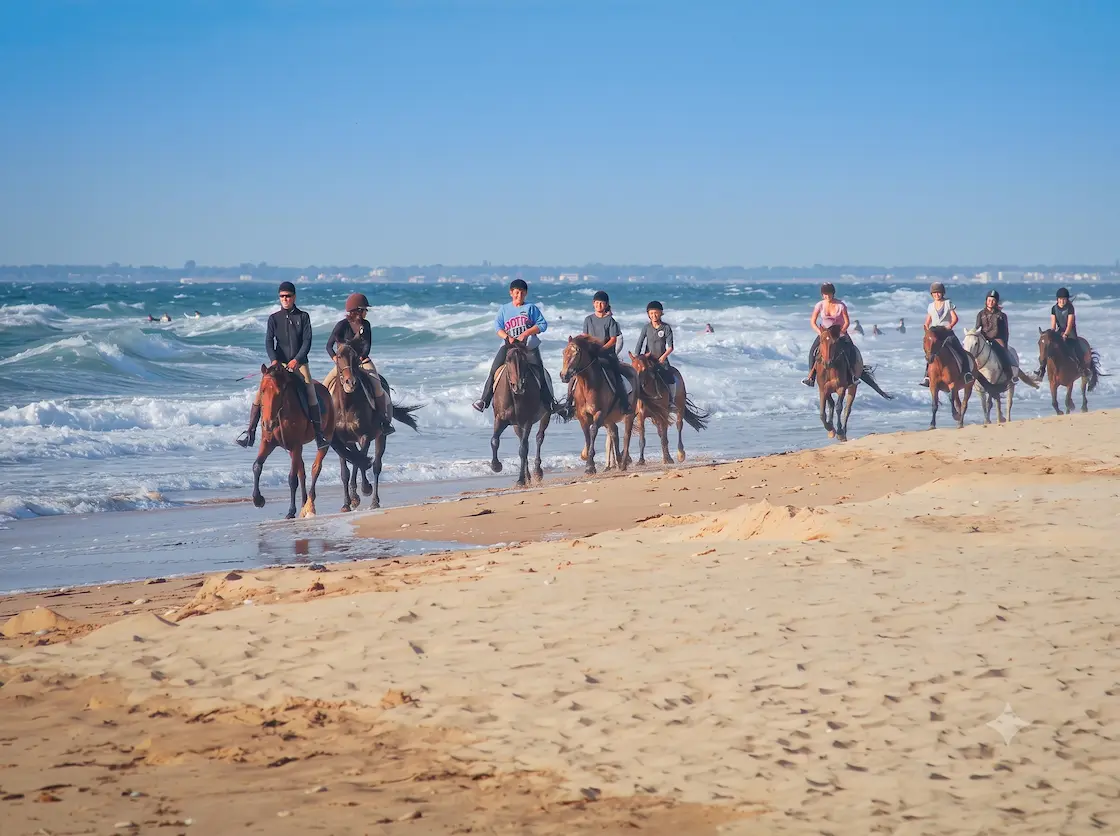 Horse riding on the beach on Île de Ré